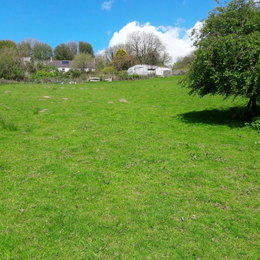 Gernos Farmhouse Llandysul 外观 照片